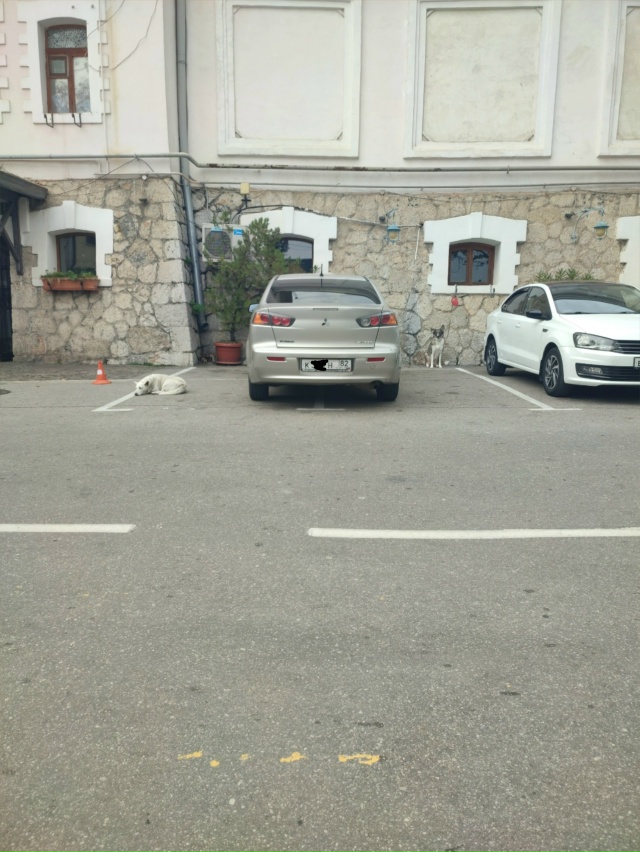 Паркуюсь как хочу...
Уважения перед другими авто любите...