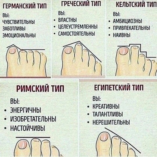 А какой тип у тебя?😅