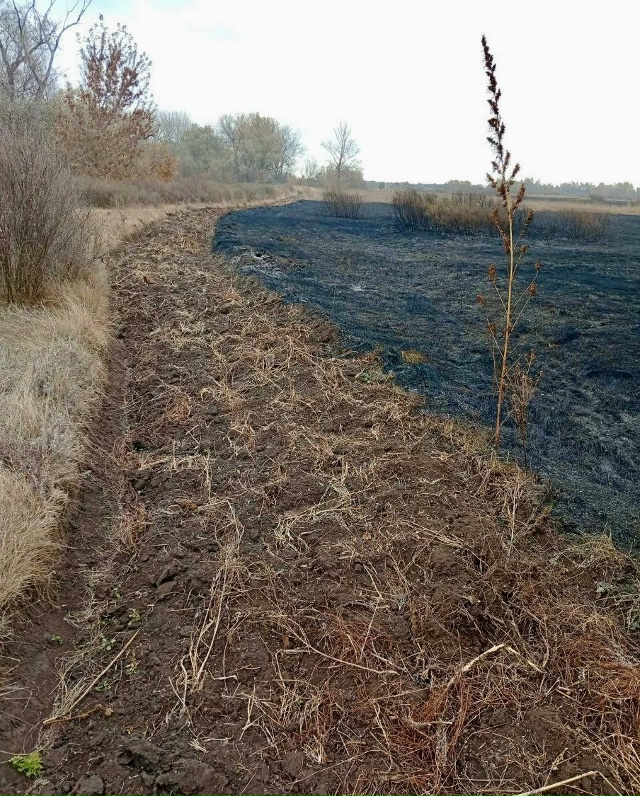 ⚡️Сегодня в считанных метрах от Бузулукского бора за?...