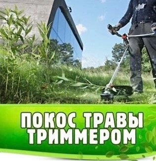 Покос травы
+7 (937) 151-11-42