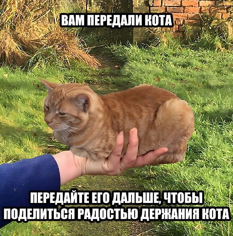 Утренняя подборочка