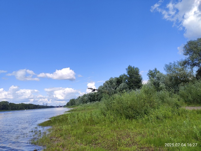 Доброе утро ⛅
Фото: Андрей Соловьев
