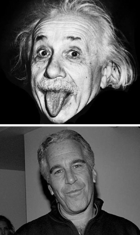 👀 Забавно: россияне все чаще начали гуглить «остров Эйнштейна» — количество таких запросов выросло д