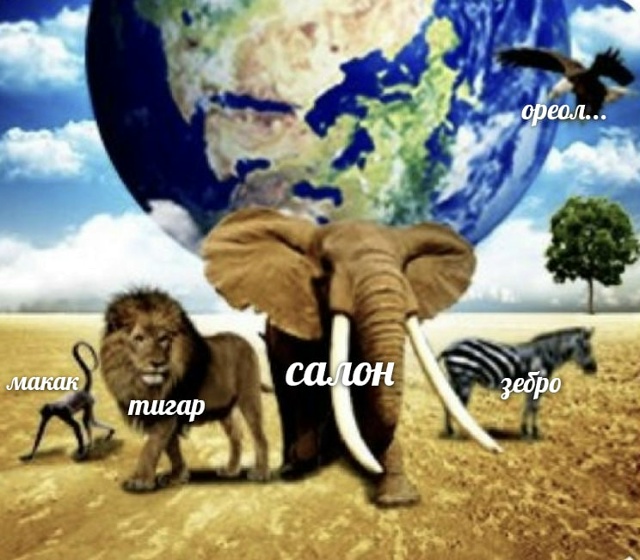 кто самый курутой