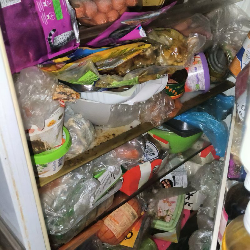 Российская альтушка превратила съёмную квартиру в свалку — среди мусора даже нашли мёртвую кошку
Жи