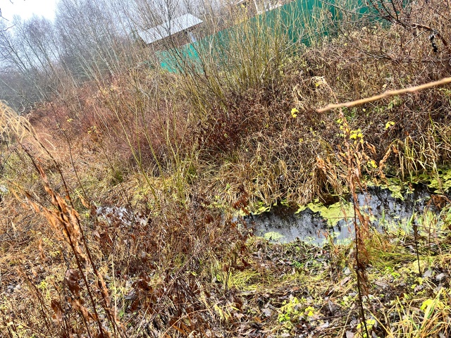 Добрый вечер! Обращение к администрации Кадуйского ра?...