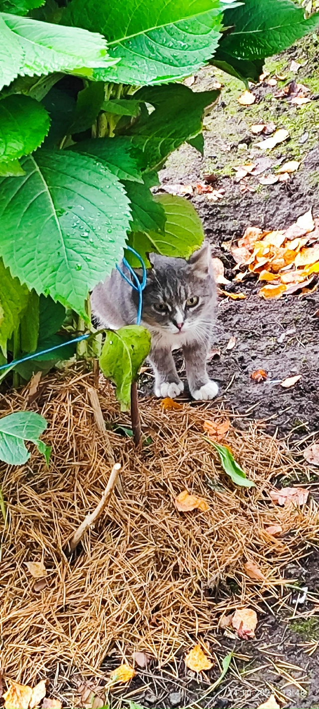 Верхняя 16
Может кто ищет