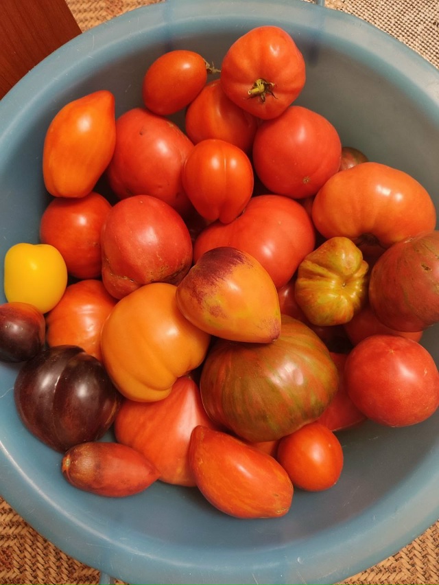 🍅 1500+ жителей города в чате Фермеры Садоводы Салавата....