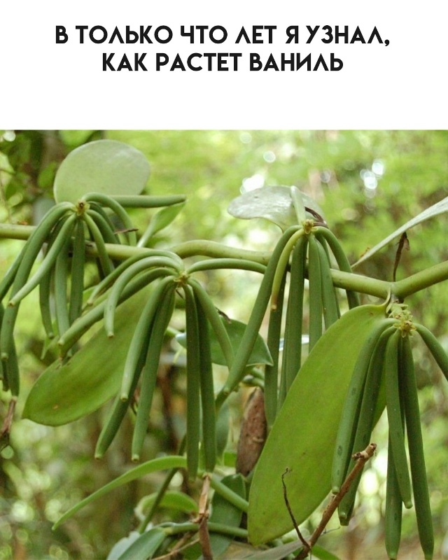 А ведь я не всё знал...