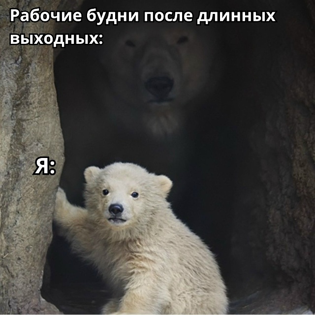 Все в Можайске проснулись, встрепенулись в понедельни?...