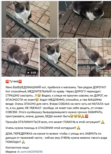 Пост добра. Распространите, пожалуйста.