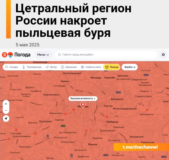 Аллергики, держитесь: пыльца берёзы на этой неделе наносит повторный удар.
Следить за тем, когда же
