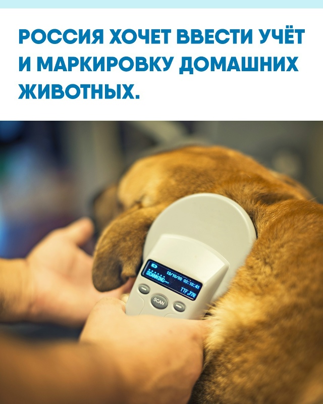 Минприроды предложило заносить питомцев в единую базу...