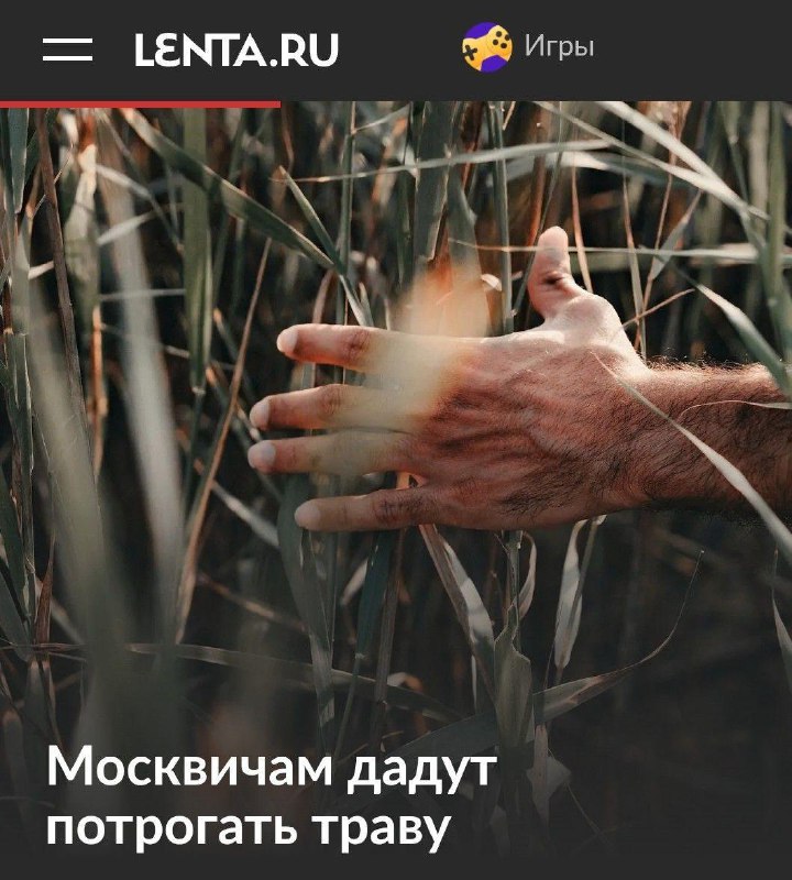 Московские привилегии, понимать нужно.
