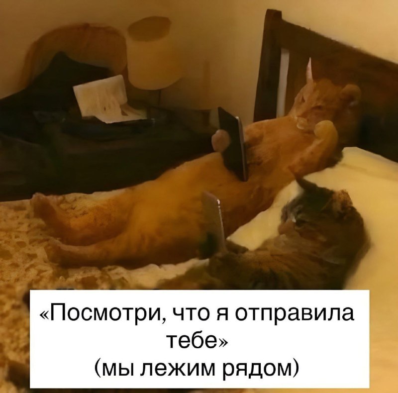 Утренняя подборочка