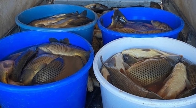 🐟 По многочисленным просьбам сообщаем — завтра едем ?...