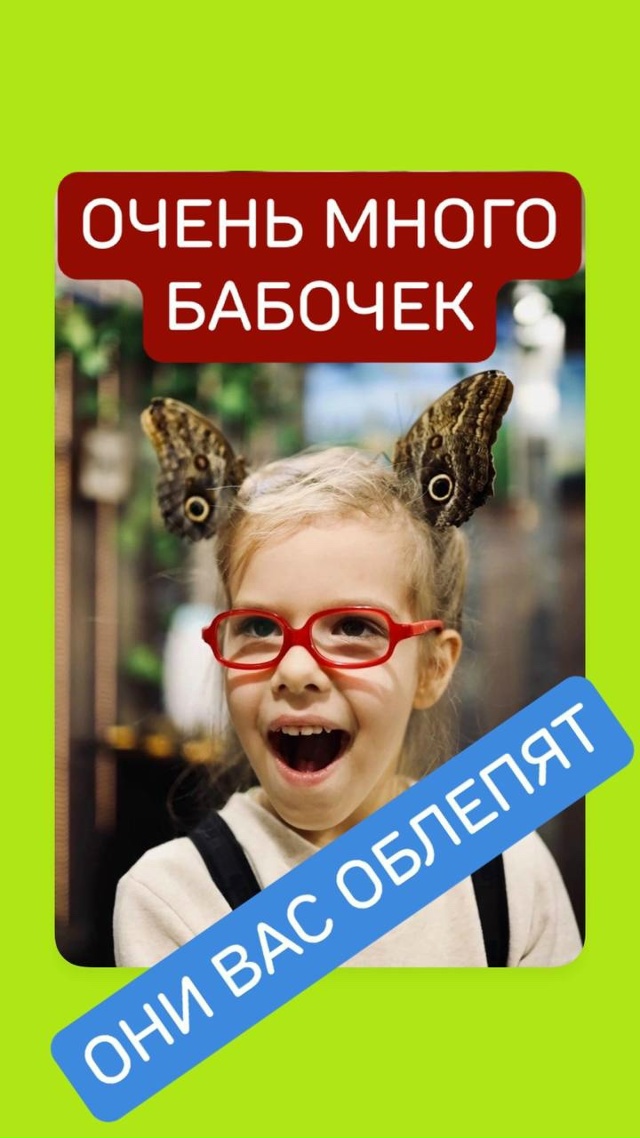 Ивантеевка, доброго дня. 🦋ВЫСТАВКА ЖИВЫХ БАБОЧЕК🦋 на...