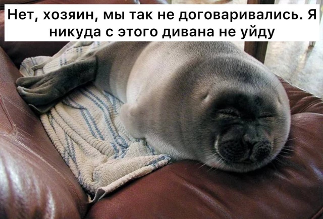 Тюленей, моржей, сервалов, медоедов, тигров и еще некот?...