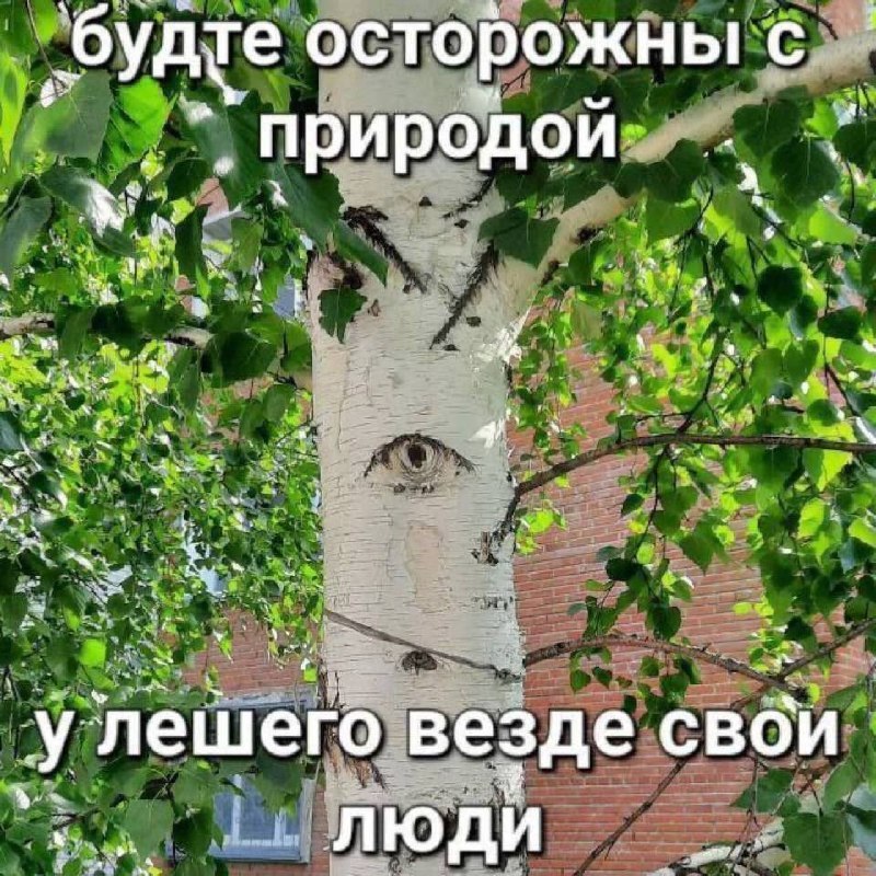 Утренняя подборочка