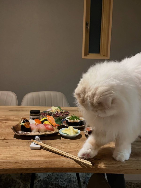 Никакова давления