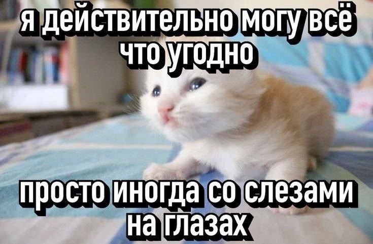 Утренняя подборочка