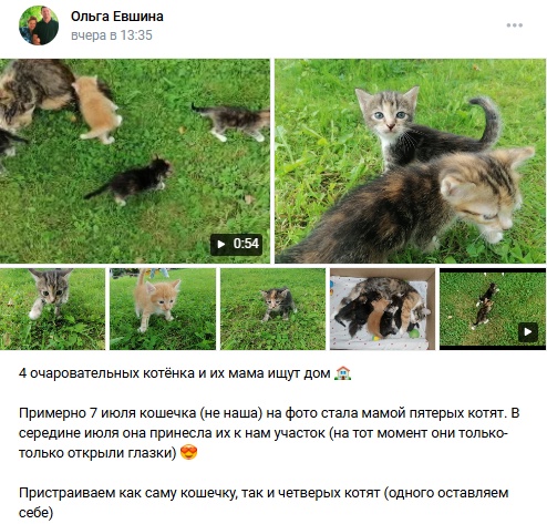 Пост добра. Распространите, пожалуйста.