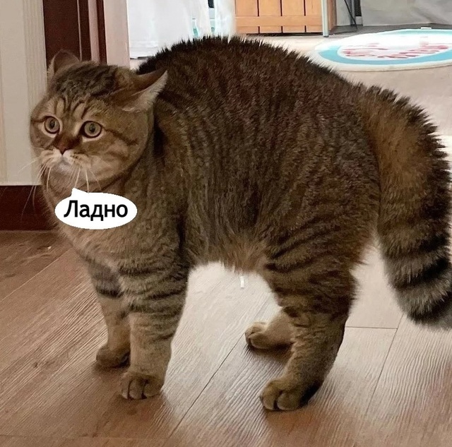 Семейное