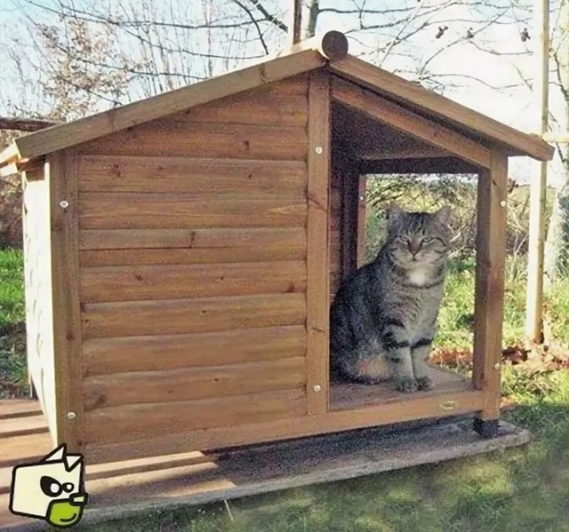 🆘🆘🆘🆘🆘🆘🆘🆘🆘🆘
. НАМ СРОЧНО НУЖНА ВАША ПОМОЩЬ
. ...