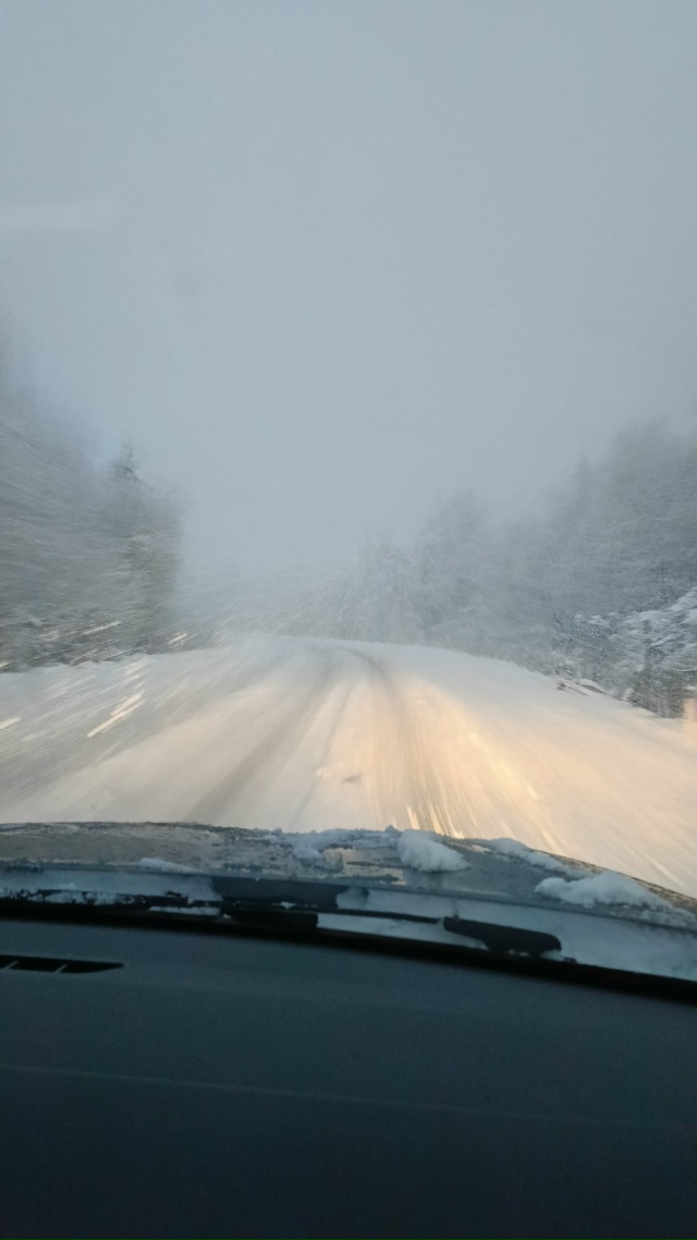 Ещё один калапс в городе и районе. За ночь неожиданно н?...