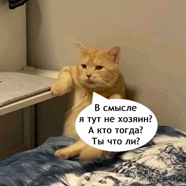 =»»