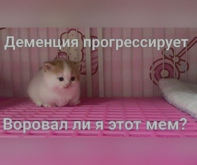 Ночная подборочка
Спать, режим