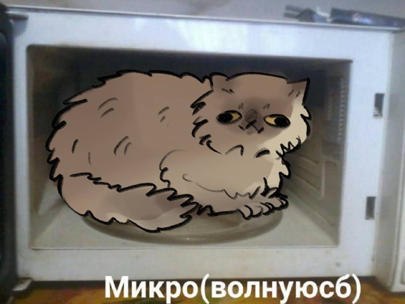 С днем весны и котов 🍟
