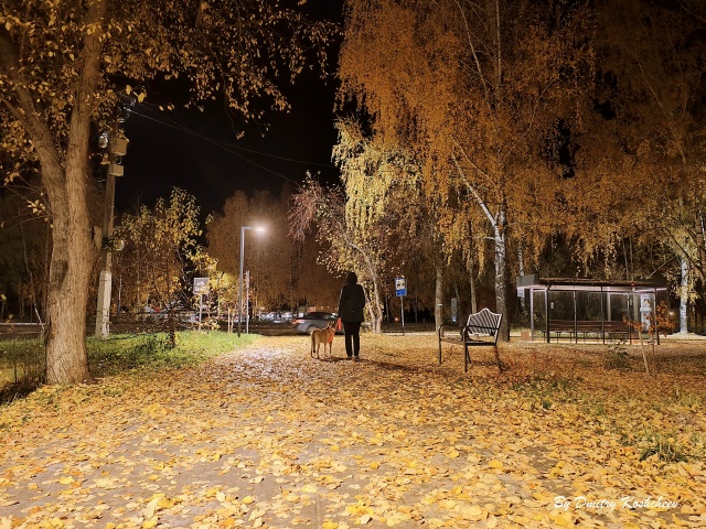 Осень бывает разной. То она одевает позолотой города д?...
