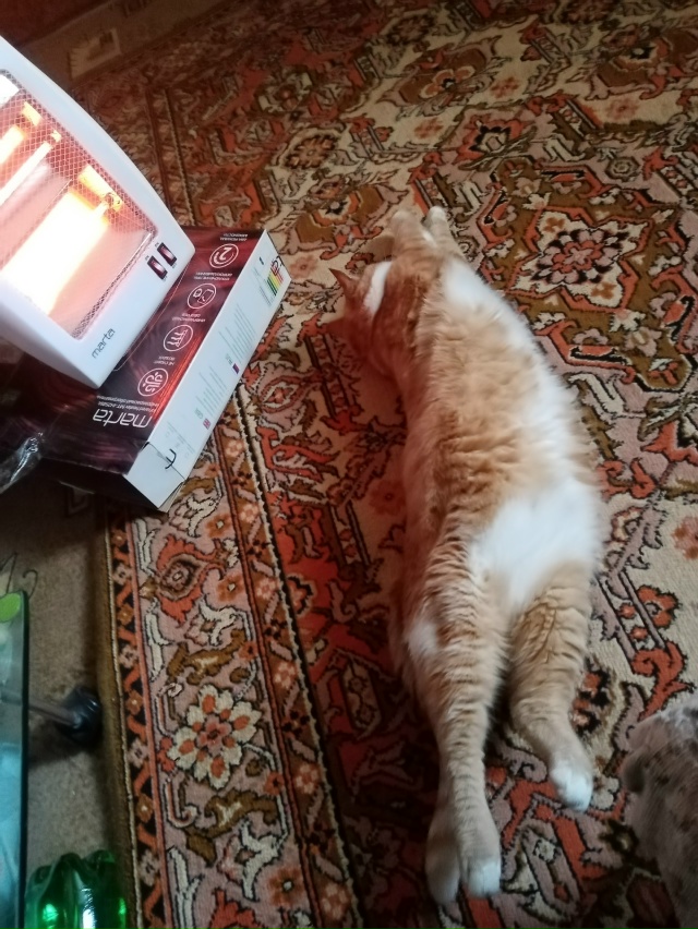 Обещают морозную зиму... Мне купили,, печку