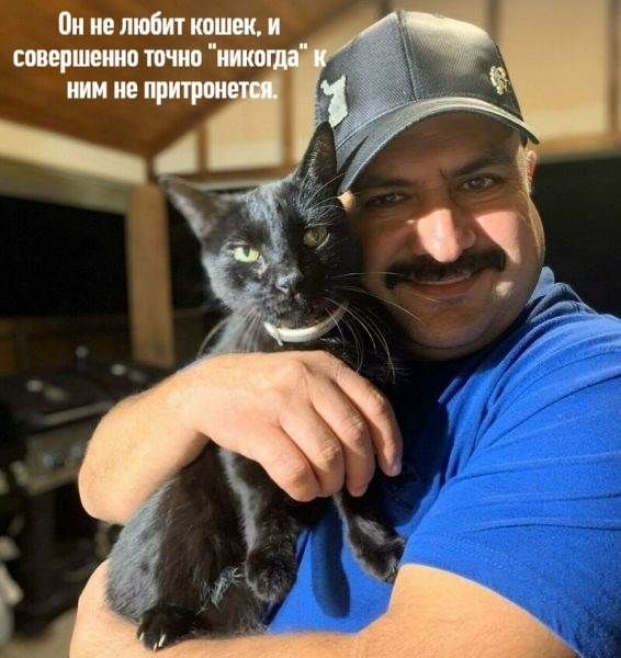 6 брутальных мужчин, которые твёрдо уверены: «Место кот...