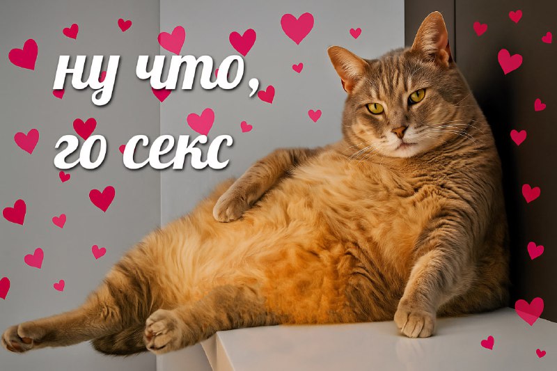 Сегодня отмечается День неукротимой страсти
Ты знаешь, с кем отметить