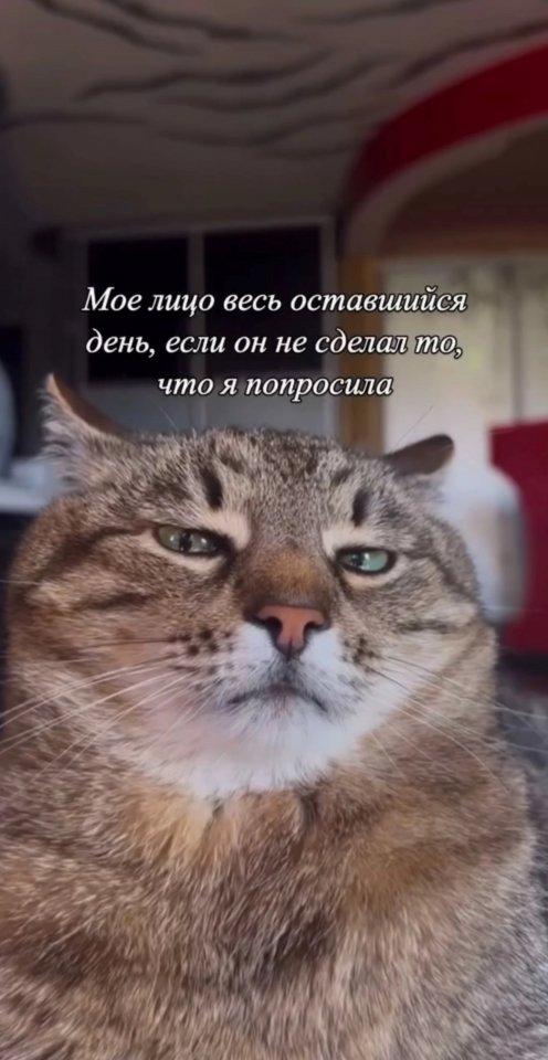 Ну это всегда так😅