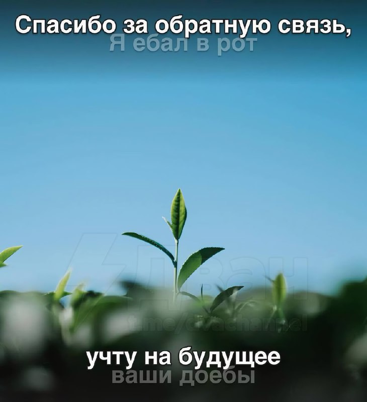 В Сети объяснили, что на самом деле означают стандартные фразы на рабочих созвонах
Какой ты сегодня