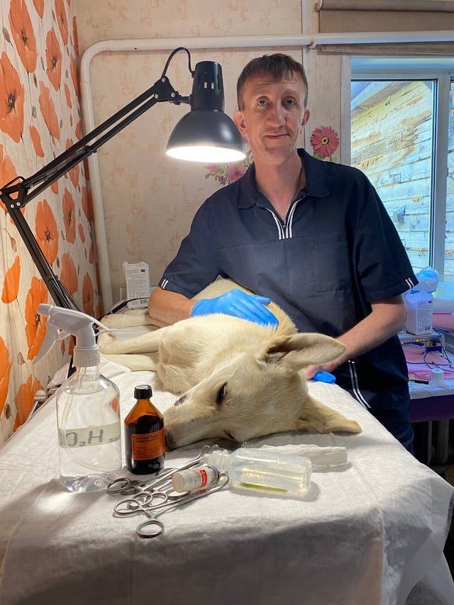 ‼️‼️‼️‼️‼️‼️‼️‼️‼️
. 📣📣📣📣 Последний ден?...