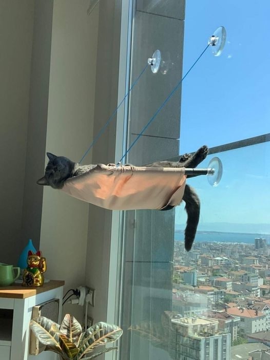 Жизнь удалась и пусть весь мир подождёт...