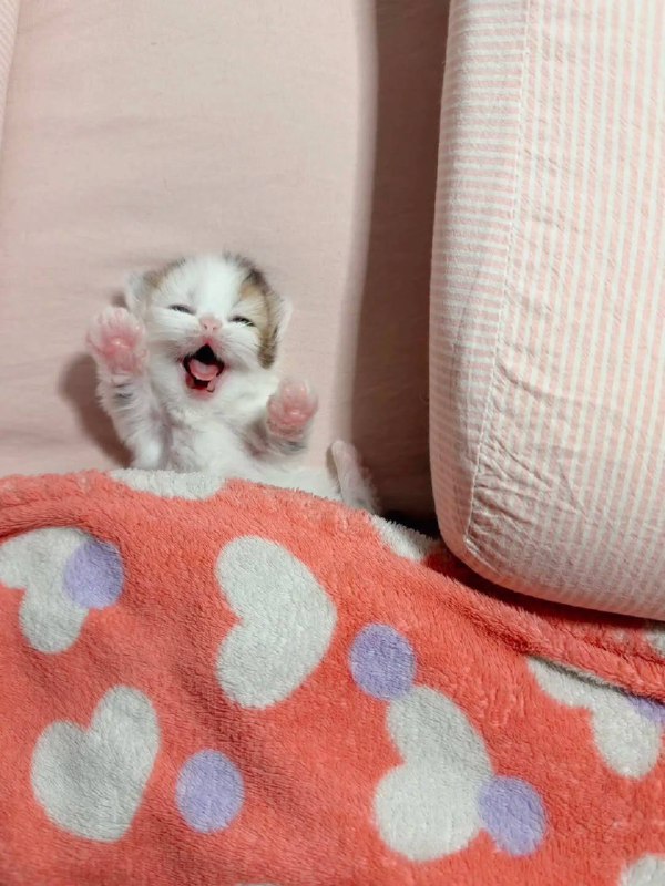 Доброе утря :3