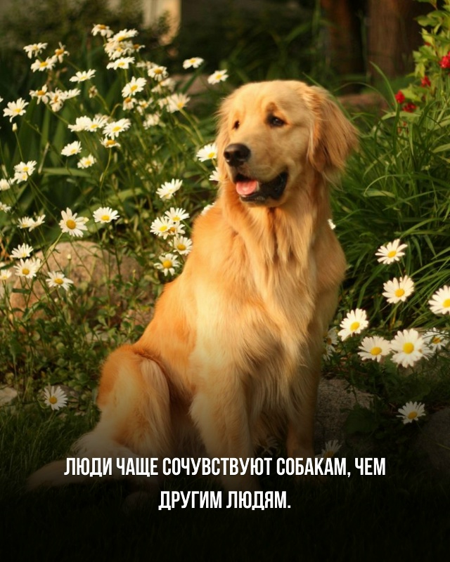 Подборка познавательных фактов.