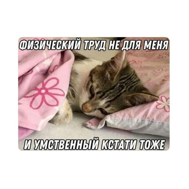 Я перед работой