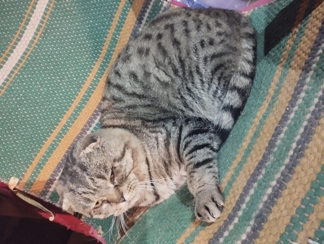 В течении недели к нам в гараж на улице Лермонтова прих...