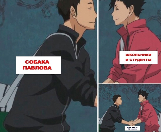 Как вам новая подборка?