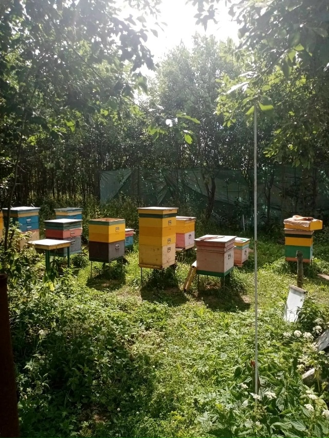 🐝🐝🐝Добрый день ☀ Гости и Жители Подпорожье! Ярмарк?...