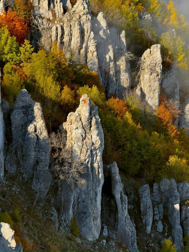 Перья Хапхала 🇷🇺