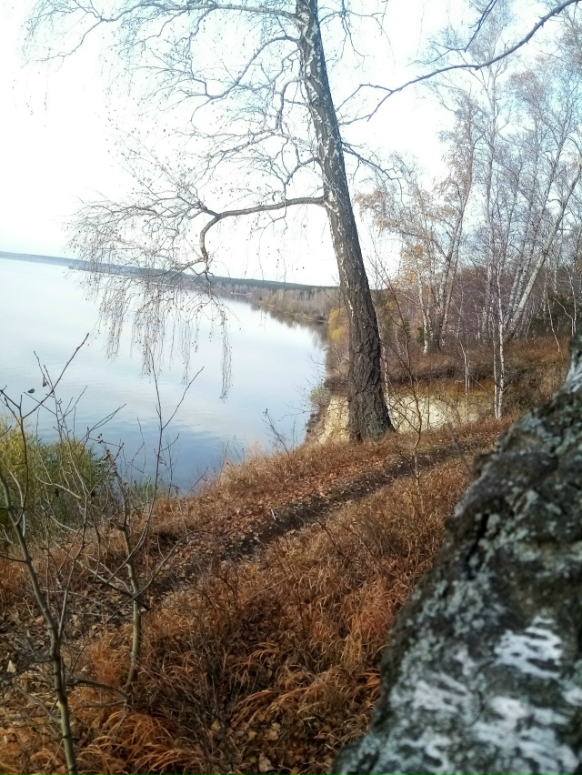 Немного позитива в ленту.На снимках-подборка № 3,прогу?...