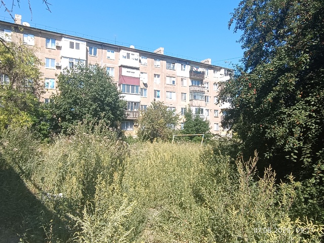 Интерестно, когда власти дадут команду, что бы покосил?...