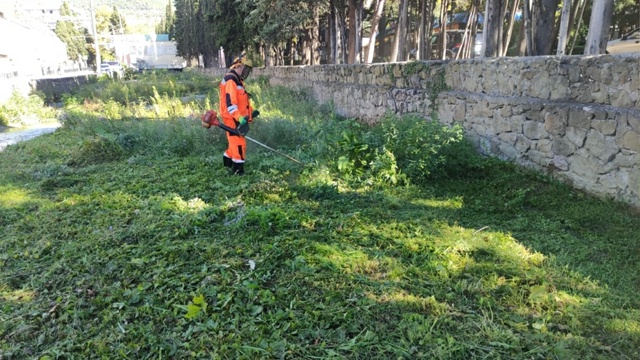 🌿 В Ялте на этой неделе специалисты ДЭУ провели качес?...